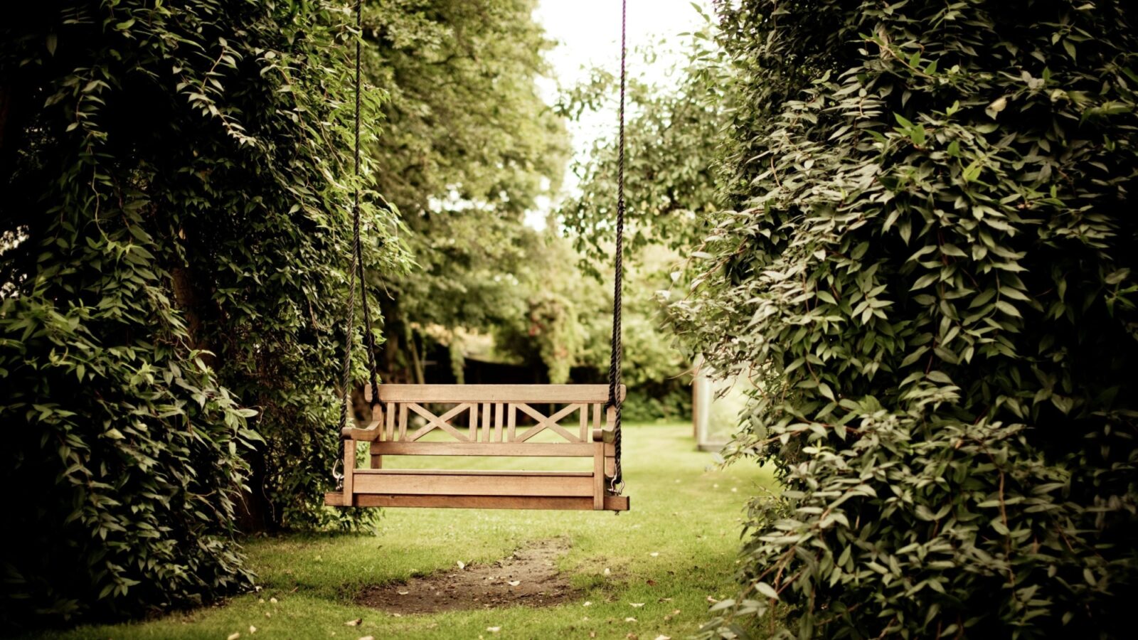 A hanging bench in a large garden