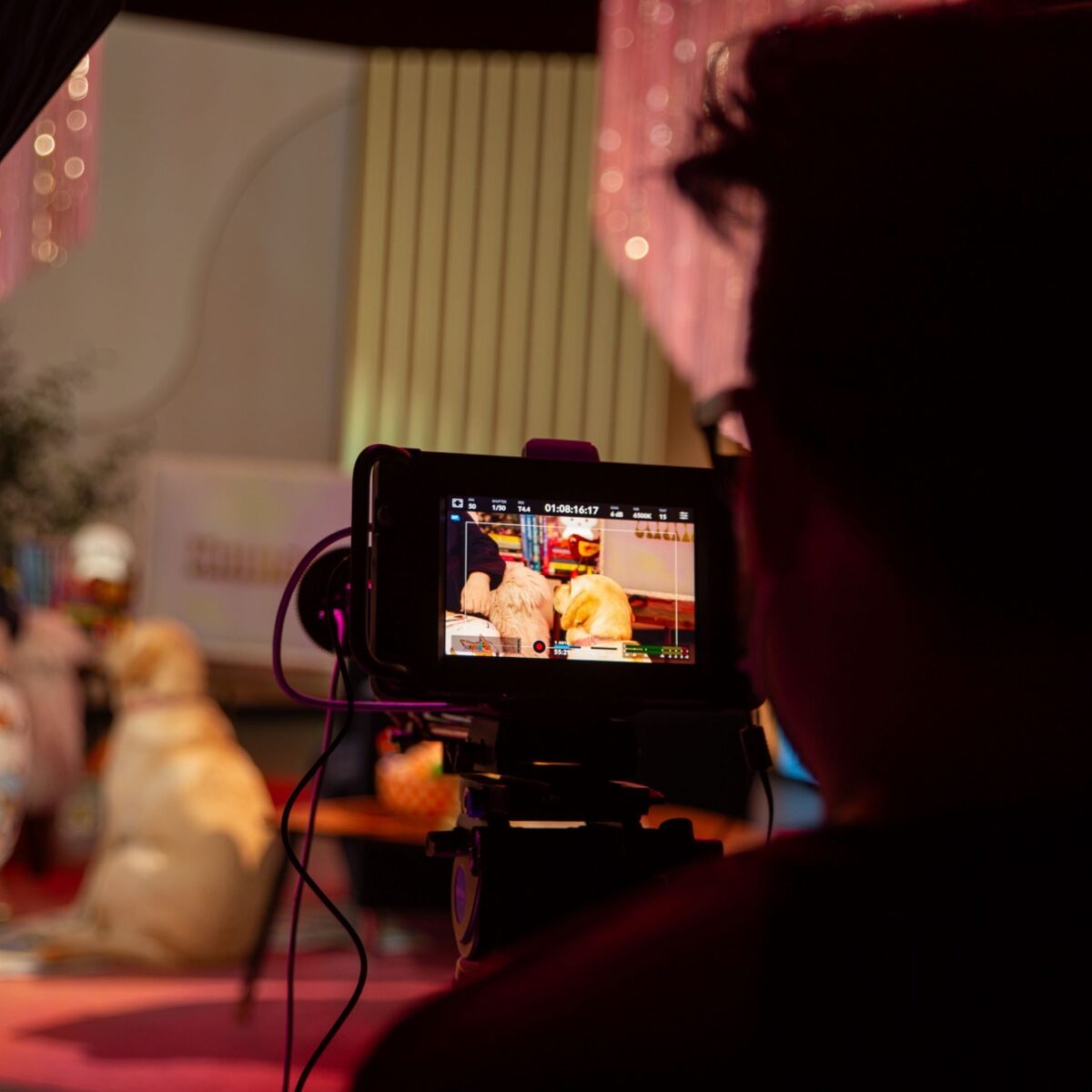 A photo of a person filming on the unmasked set